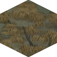 Swamp