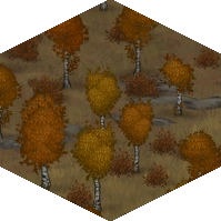 Autumn Woods