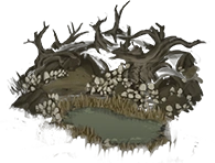 Mushroom grove 01