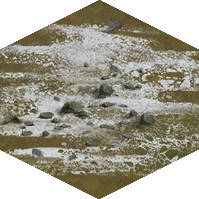 Tundra