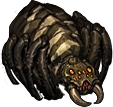 Spider 1.png Spider 1