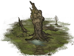 Fountain of youth2