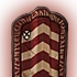 Icon named shield 06.png Pavise Shield