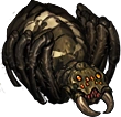 Spider4.png Spider4