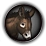 Caravan donkey