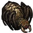 Spider 3.png Spider 3