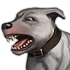 Dog 01 04 70x70