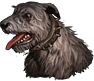 Dog 4