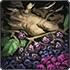 Roots and berries