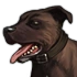 Dog 01 01 70x70