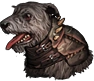 Dog 6