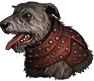 Dog 5