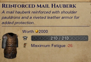 Reinforced Mail Hauberk