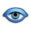 Vision