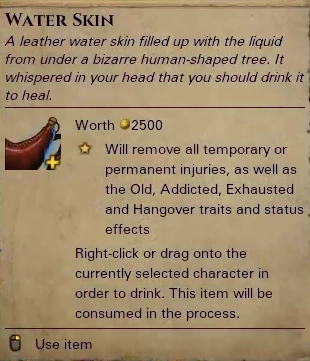 WaterSkin