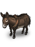 Token-donkey