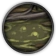 Swamp2