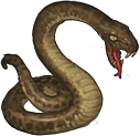 蛇 / Snake Snake