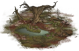 Hunting ground