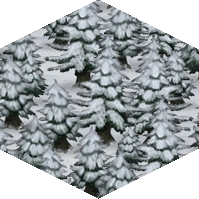 Snowy forest