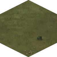 Grasslands