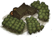 Orchard 01