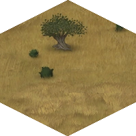 Steppe