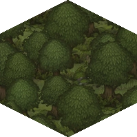 Forest2